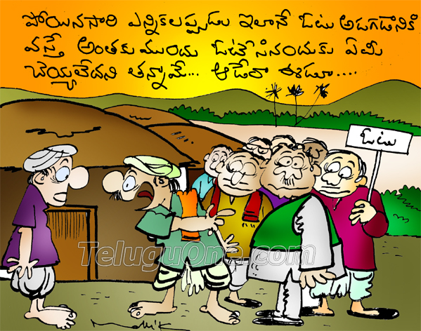 Cartoons Indian Elections Vote